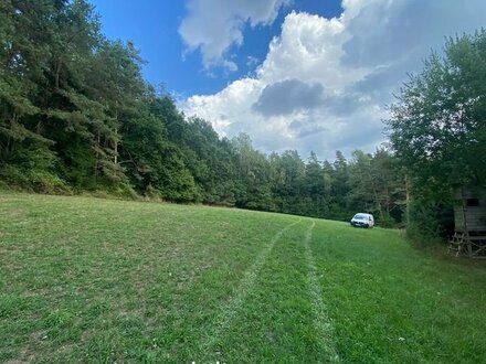 LANDWIRTSCHAFTSFLÄCHE IN DÖLLNITZ BEI PRESSATH