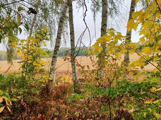 SPEKTAKULÄR - BAUGRUNDSTÜCK !!!!!