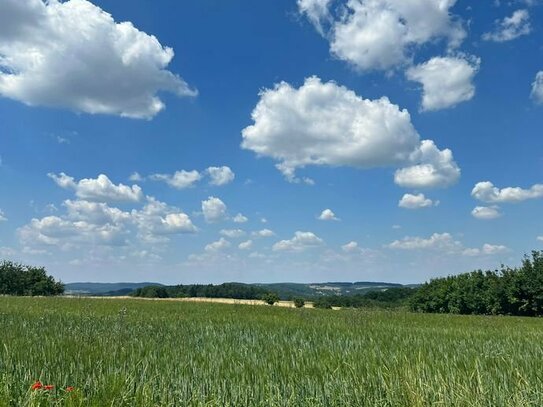 Baugrundstück in exklusiver Lage Aschaffenburgs mit ca. 646m²