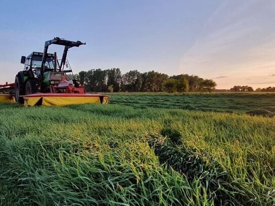 *Landwirtschaftliche Flächen* in Ostfriesland gesucht!