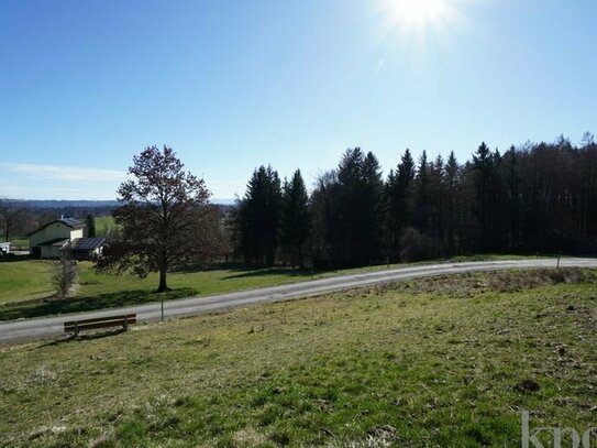 Tutzing/Unterzeismering - Wald- und Wiesenfläche oder Weidegrund mit Seeblick!