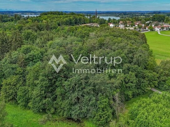 EGERLAICH - GEPFLEGTES WALDGRUNDSTÜCK IM RAUM WÖRTHSEE