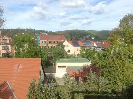 2-Zimmer-Wohnung mit Dachterrasse in Dresden-Laubegast!