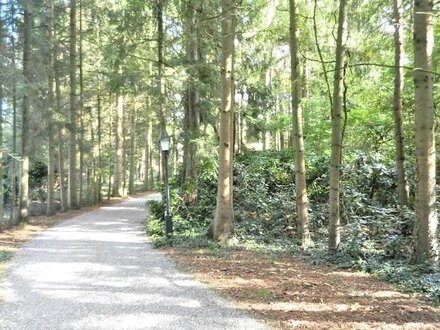 Für Naturliebhaber! Großzügiges, freistehendes EFH auf sehr großem Wald-Grundstück mit Bäumen+Rhododendren, Teich, etc.…