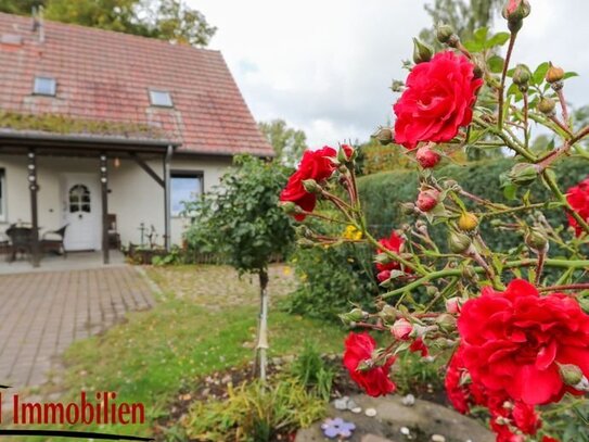 Schöne DHH mit tollem eingefriedetem Grundstück - mit Sauna und Pool in Bassin!