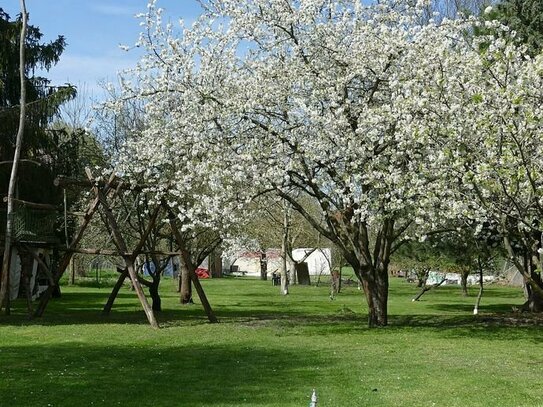 Das Haus am See-für Natur und Tier Liebhaber