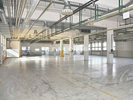 ca. 3.200 m² Light Industrial- und Forschungsfläche zzgl. Büro zu vermieten