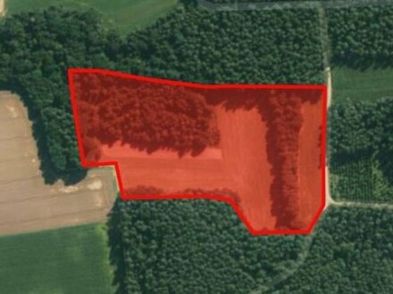 Verkaufe 2,93 ha landwirtschaftliche Fläche (Acker & Wald) in Weißenberg (AS)