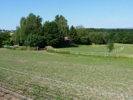 Grünfläche zwischen Bebauung, Sportplatz und Pferdeställen bei Glashütten in der Nähe von Königstein - provisionsfrei k…