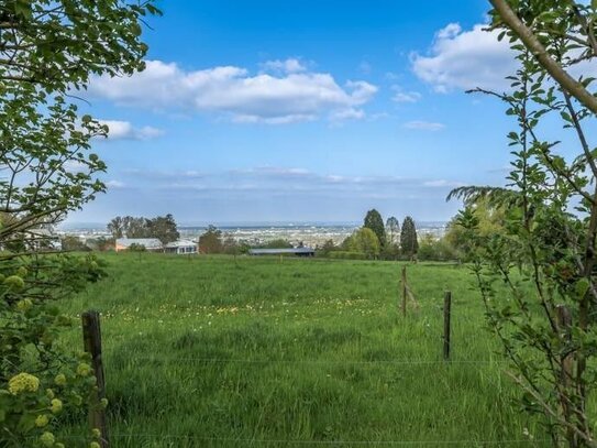 Traumhafte Villa mit Weitblick bis nach Weseling!