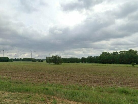 3,1 ha, zu Verkaufen! Grünland und Landwirtschaftsfläche in Frehne.