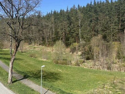 ruhige 2-Raum-Wohnung mit Balkon am Stadtrand von Bad Elster