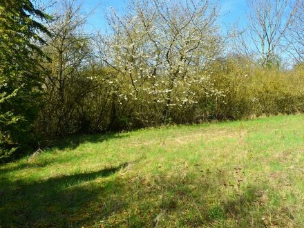 Grundstück im Wochenendgebiet Habichtswald zum Verkauf!