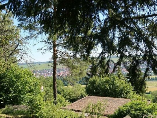 Wunderschönes Gartengrundstück mit Wochenendhaus in Blicklage - Winterhausen