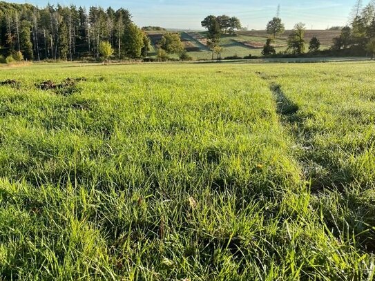 Landwirtschaftliche Flächen im Landkreis Fulda