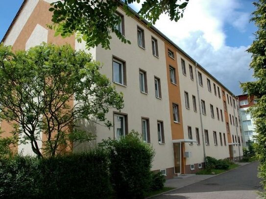 3 Raum-Wohnung im Erdgeschoss mit Dusche