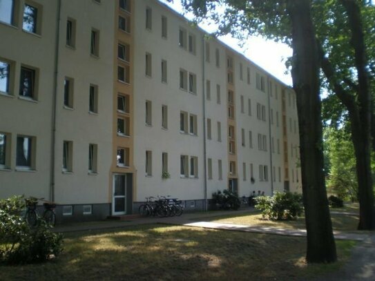 2-Zimmer Mietwohnung in Ruhland (01945)