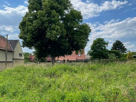 Baugrundstück für ein Wohngebäude oder Gewerbegebäude in Lützen