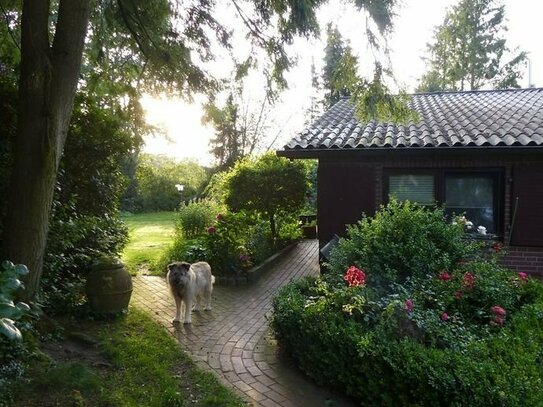 Reserviert! Bungalow für Individualisten im Randbereich von Himbergen (Lüneburger Heide) auf sehr schönem, grossen Grun…