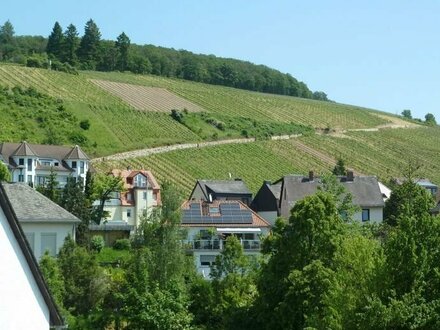 Provisionsfrei für den Käufer - Mediterraner Flair im schönen Rheingau – Einfamilienhaus zu verkaufen