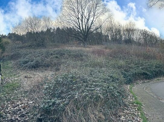 Traumhaftes Hanggrundstück in idyllischer ländlicher Lage