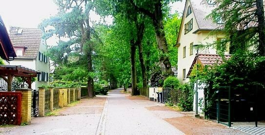 Leipzig- Holzhausen- Spitzenlage - gewachsene Siedlung- ruhig- grün !