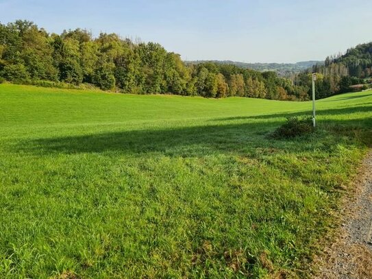 A 4-naher Wiesentraum bei Engelskirchen-Bickenbach - gut erreichbar und eben