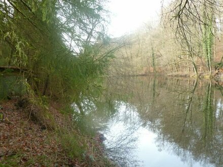 2 Fischteiche in Landschaftlich schöner Lage