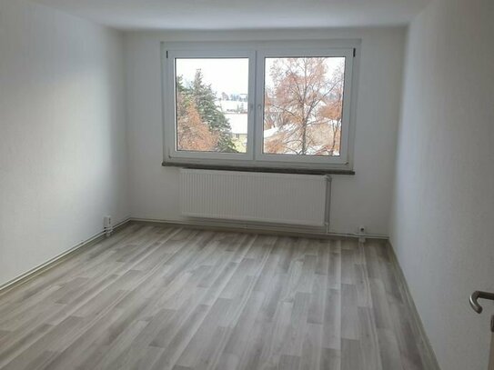 modern sanierte 3-Raum Wohnung mit Kamin und Balkon in Badeborn
