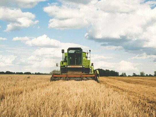 20,8 ha gutes, arrondiertes Ackerland zu verkaufen