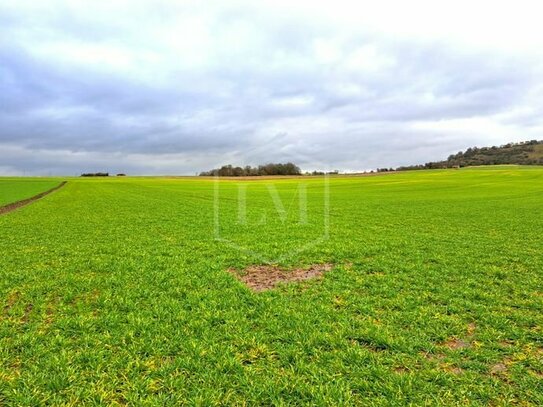 70 ha arrondierte landwirtschaftliche Flächen in Mittelhessen