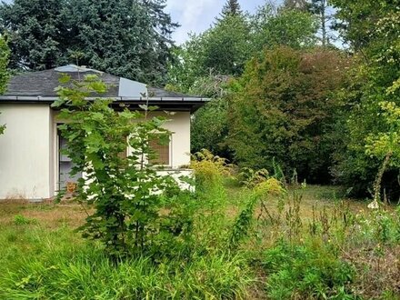 Tolles Grundstück wassernah in Wolzig zu verkaufen