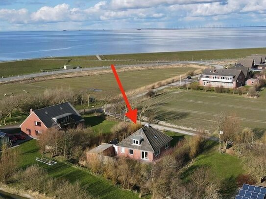 Das perfekte Insel- Refugium am Meer - Ferienvermietung möglich - Einen Steinwurf vom Nordseedeich !