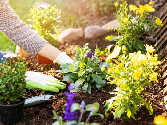 Für Gartenfreunde: sonnige 3-Zimmer-Wohnung mit Terrasse und großer Gartenfläche