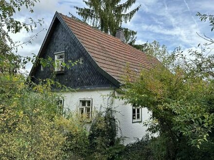 Liebhaber gesucht - idyllisches Bauernhaus mit alter Scheune bei Küps