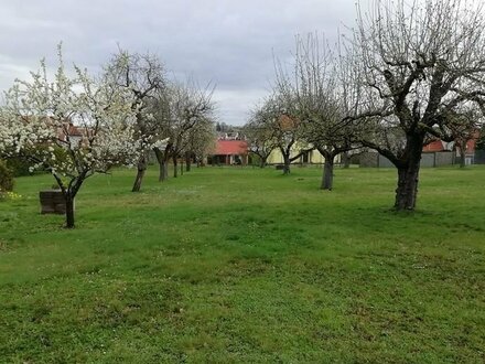 Aufgepasst! Schönes Grundstück mit ca. 2.268 qm (ggf. teilbar) ohne Bauzwang in Langenzenn!