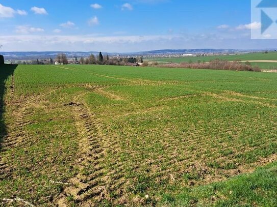 2,7 ha Ackerflächen nähe Osterhofen /Forsthart und Weide oder Grünland