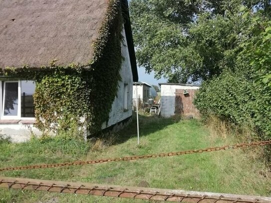 RÜGEN ! 1900 m² Grundstück am Schaproder Bodden bebaut mit sanierungsfähigem Reetdach-Altbau! Neuer KP!