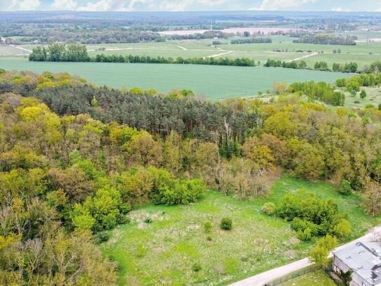 1,4 ha Waldflächen - ca. 15 km von der Berliner Stadtgrenze
