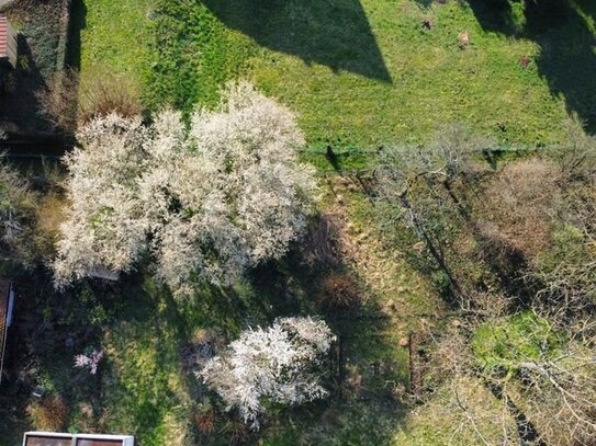 Zwei benachbarte Grundstücke in Epfenbach