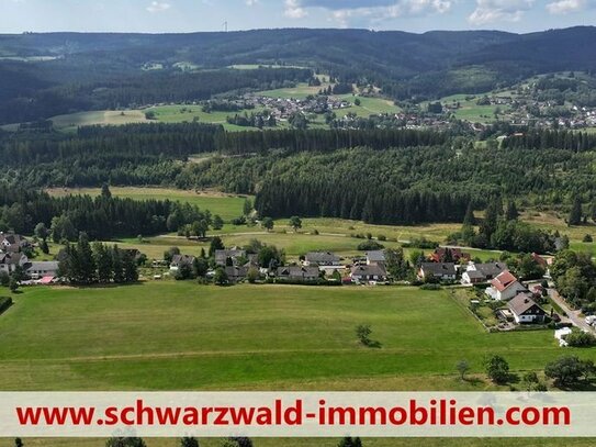 Panoramalage Hochschwarzwald - 1,8 Hektar Bauland, besser gehts nicht - Sofortverkauf !