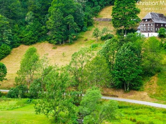 Großzügiges Schwarzwaldhaus in herrlicher Lage mit Blick ins Grüne