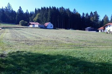 Bauerwartungsland mit der Möglichkeit für 6 Grundstücke in Herzogsreut