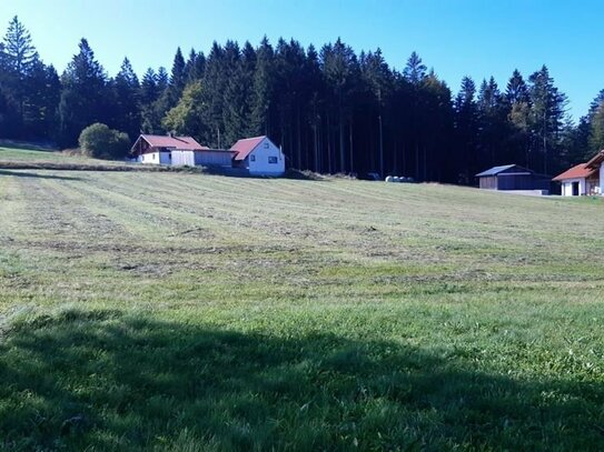 Bauerwartungsland mit der Möglichkeit für 6 Grundstücke in Herzogsreut