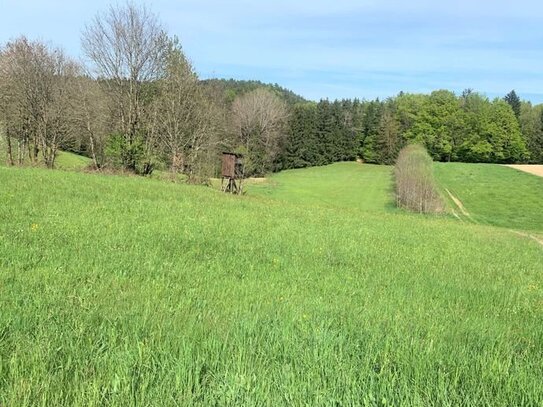 16.593 m² Wiesen-/Waldgrund nähe Eging am See