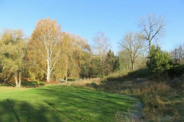 Die besondere Baulücke im Grünen - Nähe Bad Blankenburg