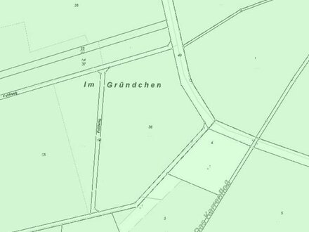 Verkaufe 1,06 ha Grünland in Münchhausen (MR)