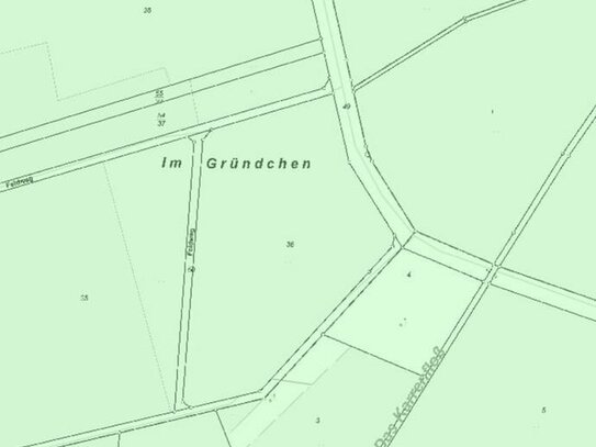 Verkaufe 1,06 ha Grünland in Münchhausen (MR)