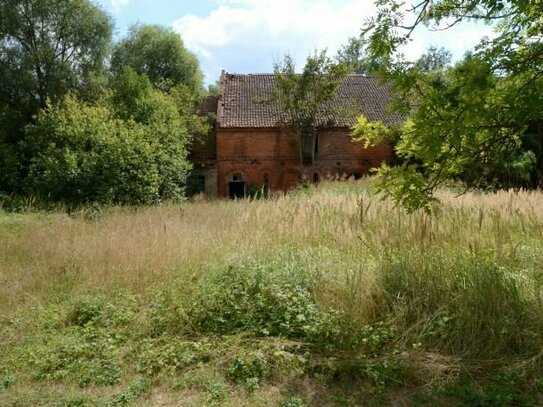 Auf den Spuren des Landschaftsarchitekten Lenné | Wohnbaugrundstück in Weteritz