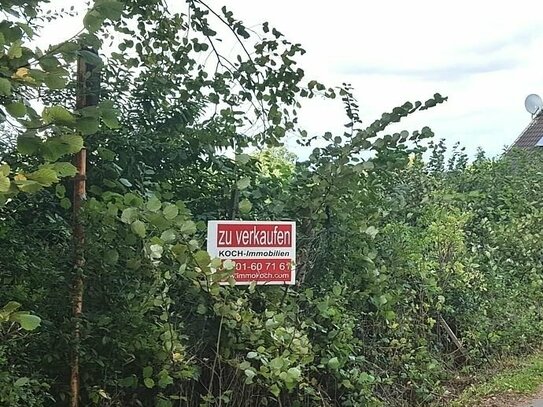 Baugrundstück neben Naturschutzgebiet in Stolberg-Schevenhütte